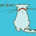I'm not aloof, I'm ignoring you