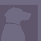 dog icon