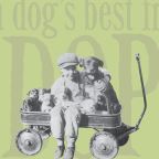 Be a dog's best friend.