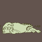 When in doubt, nap